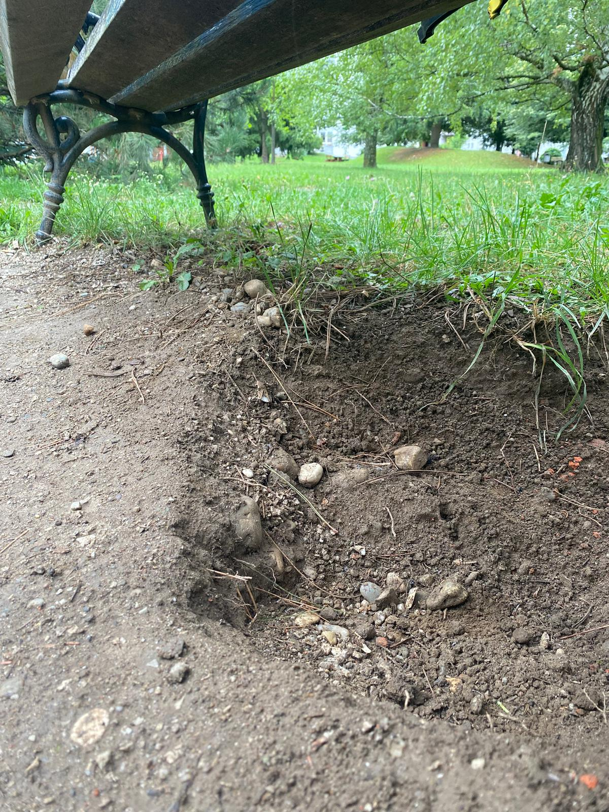 TrashTrek after cleanup - Woodland Area clean and restored